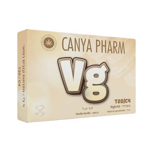 תפרחות וי ג'י (VG) T20/C4 היבריד תפרחות וי ג'י (VG) T20/C4 היבריד
