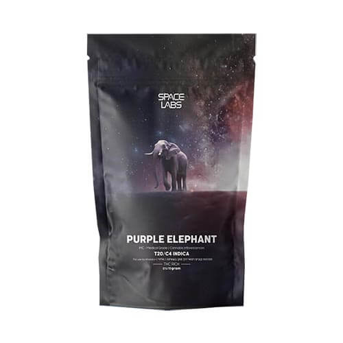 תפרחות פרפל אלפנט (Purple Elephant) T20/C4 אינדיקה תפרחות פרפל אלפנט (Purple Elephant) T20/C4 אינדיקה