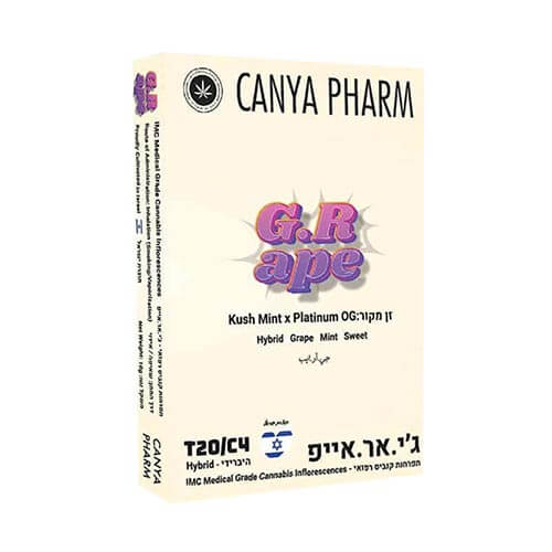 תפרחות ג׳י אר אייפ (G.R Ape) T20/C4 היבריד תפרחות ג׳י אר אייפ (G.R Ape) T20/C4 היבריד
