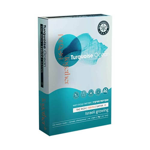 תפרחות אוקיינוס טורקיז (Turquoise Ocean) T20/C4 סאטיבה תפרחות אוקיינוס טורקיז (Turquoise Ocean) T20/C4 סאטיבה