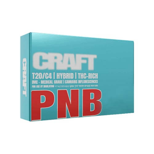 תפרחות פי.אן.בי (PNB) T20/C4 היבריד תפרחות פי.אן.בי (PNB) T20/C4 היבריד