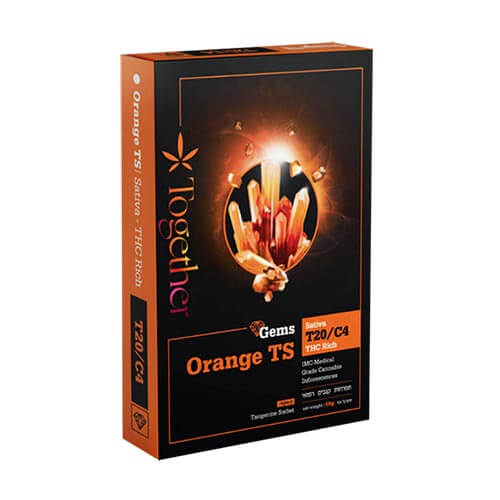 תפרחות אורנג' טי אס (Orange TS) T20/C4 סאטיבה תפרחות אורנג' טי אס (Orange TS) T20/C4 סאטיבה