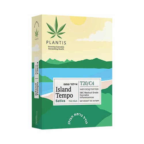 תפרחות איילנד טמפו (Island Tempo) T20/C4 סאטיבה תפרחות איילנד טמפו (Island Tempo) T20/C4 סאטיבה