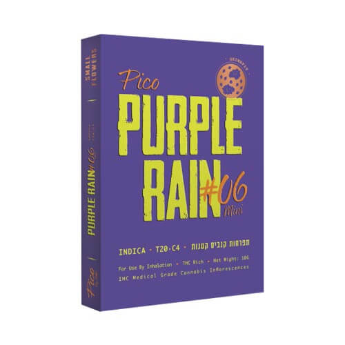 תפרחות Pico Purple Rain #3 T20/C4 תפרחות Pico Purple Rain #3 T20/C4