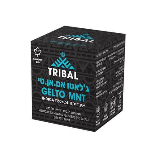 תפרחות ג'לאטו אם.אן.טי (Gelato MNT) T20/C4 אינדיקה תפרחות ג'לאטו אם.אן.טי (Gelato MNT) T20/C4 אינדיקה