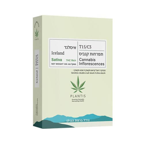 תפרחות איסלנד T15/C3 סאטיבה