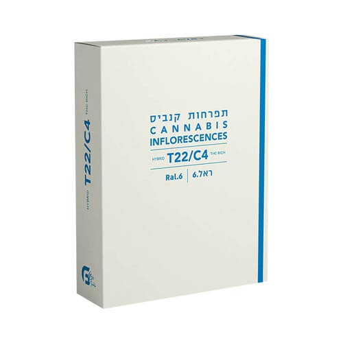 תפרחות ראל 6 T22/C4 היבריד
