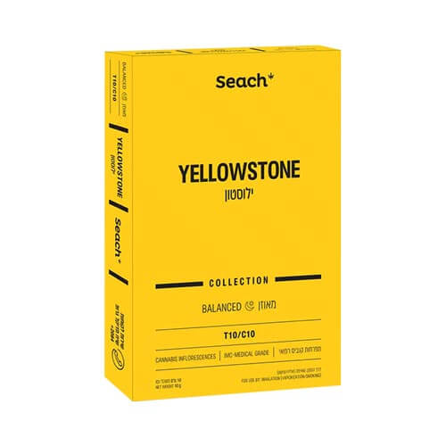 תפרחות ילוסטון (Yellowstone) T10/C10 היבריד תפרחות ילוסטון (Yellowstone) T10/C10 היבריד