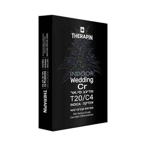 תפרחות וודינג סי אר (Wedding CR) T20/C4 אינדיקה תפרחות וודינג סי אר (Wedding CR) T20/C4 אינדיקה