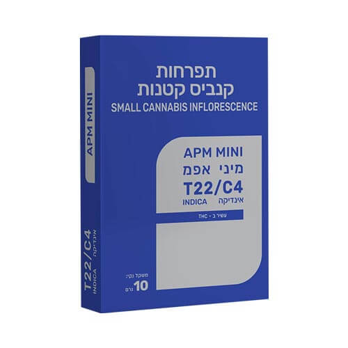 תפרחות סמול איי פי אם T22/C4 אינדיקה