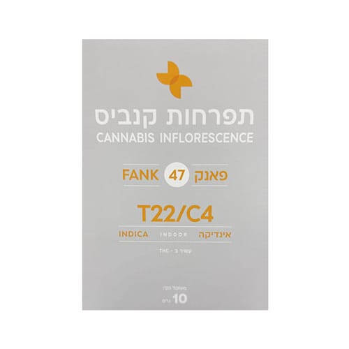 תפרחות פאנק 47 T22/C4 אינדיקה