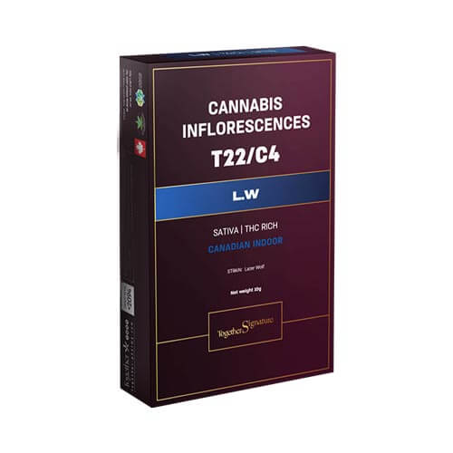 תפרחות אל דאבליו T22/C4 סאטיבה
