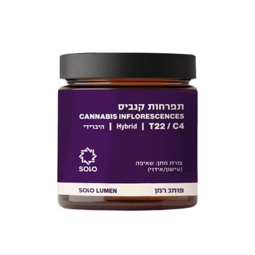 תפרחות לומן (Lumen) T22/C4 היבריד