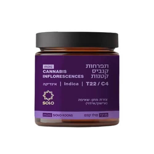 תפרחות סמול מיני קונס (Mini Koons) T22/C4 אינדיקה