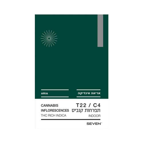 תפרחות אריאה T22/C4 היבריד תפרחות אריאה T22/C4 היבריד