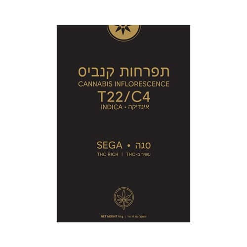 תפרחות סגה T22/C4 אינדיקה