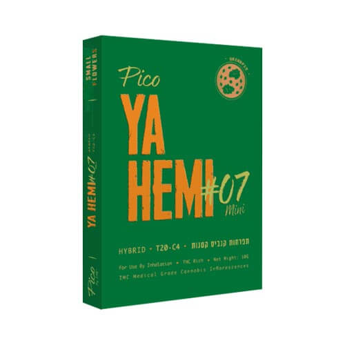 תפרחות סמול Pico Ya Hemi #7 T20/C4 היבריד תפרחות סמול Pico Ya Hemi #7 T20/C4 היבריד