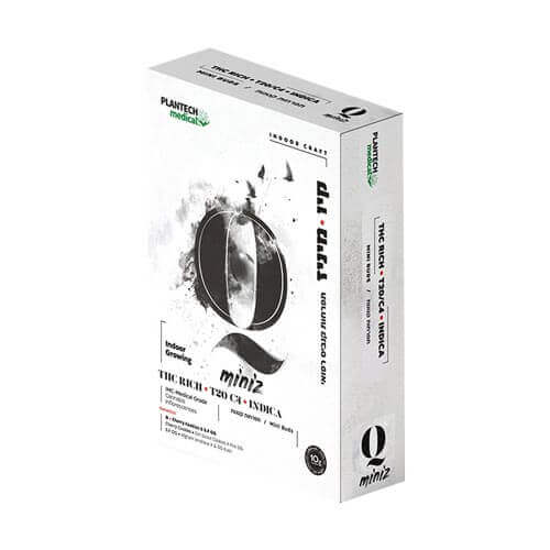 תפרחות סמול Q T20/C4 תפרחות סמול Q T20/C4