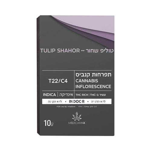 תפרחות טוליפ שחור T22/C4 אינדיקה