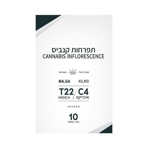 תפרחות מא גא T22/C4 אינדיקה