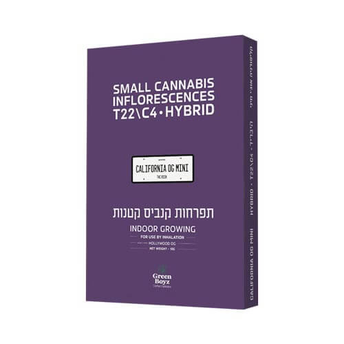 תפרחות סמול קליפורניה או ג'י T22/C4 היבריד