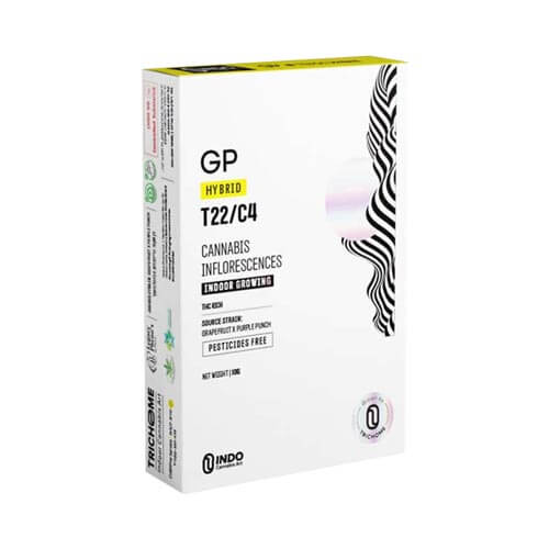 תפרחות GP T22/C4 היבריד תפרחות GP T22/C4 היבריד