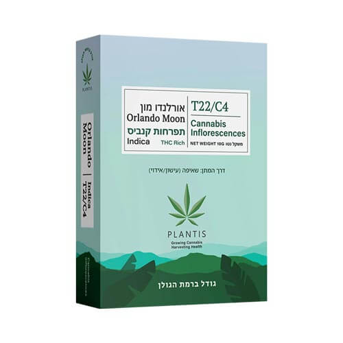 תפרחות אורלנדו מון T22/C4 תפרחות אורלנדו מון T22/C4