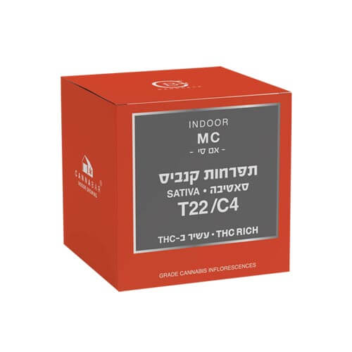 תפרחות אם סי T22/C4 סאטיבה תפרחות אם סי T22/C4 סאטיבה