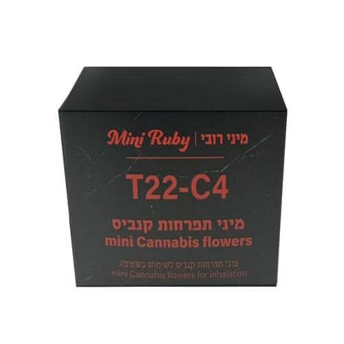 תפרחות מיני רובי T20/C4 אינדיקה תפרחות מיני רובי T20/C4 אינדיקה