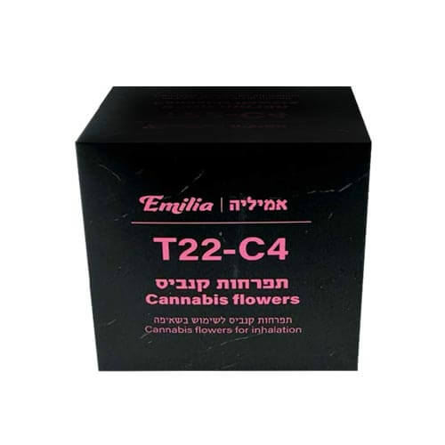 תפרחות אמיליה T20/C4 אינדיקה תפרחות אמיליה T20/C4 אינדיקה
