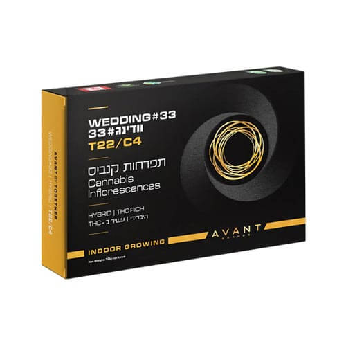 תפרחות וודינג 33 T22/C4 היבריד תפרחות וודינג 33 T22/C4 היבריד