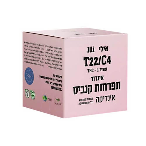 תפרחות אילי T22/C4 אינדיקה