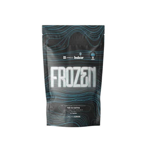 תפרחות פרוזן (Frozen) T20/C4 סאטיבה | קנאביס רפואי