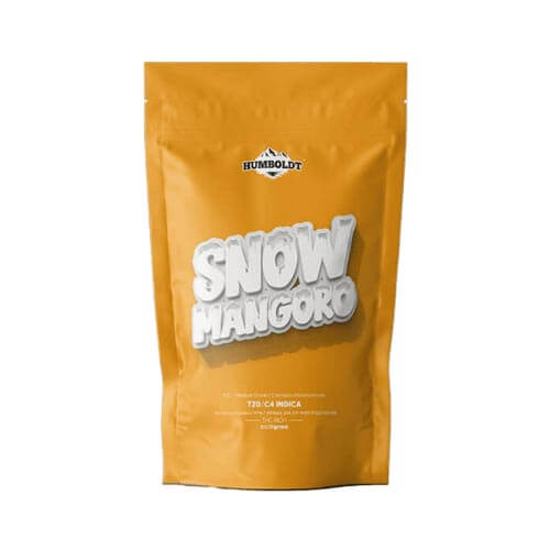 תפרחות סנואו מנגורו (Snow Mangoro) T20/C4 אינדיקה תפרחות סנואו מנגורו (Snow Mangoro) T20/C4 אינדיקה
