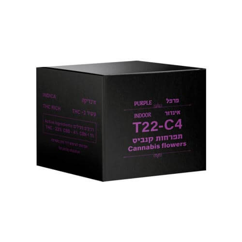תפרחות פרפל T22/C4 אינדיקה
