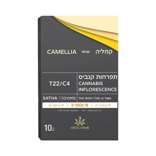 תפרחות קמליה T22/C4 סאטיבה