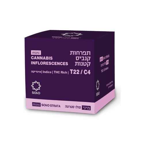 תפרחות סמול מיני סטרטה T22/C4 אינדיקה