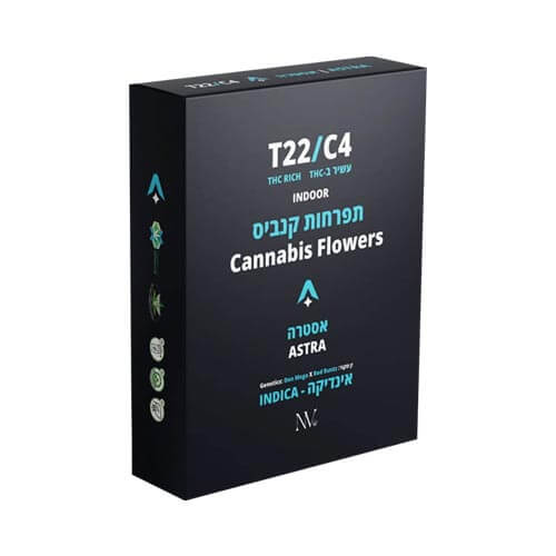 תפרחות אסטרה T22/C4 אינדיקה