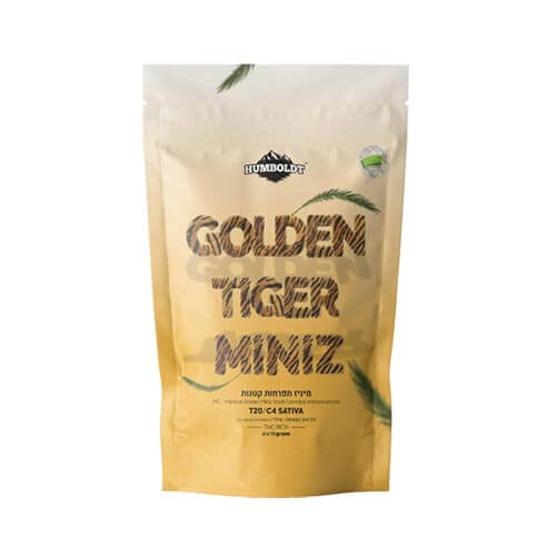 תפרחות סמול גולדן טיגר (Golden Tiger Small) T20/C4 סאטיבה תפרחות סמול גולדן טיגר (Golden Tiger Small) T20/C4 סאטיבה