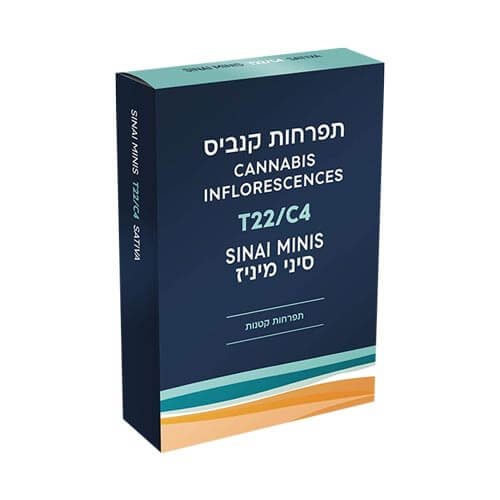 תפרחות סמול סיני מיניז T22/C4 סאטיבה תפרחות סמול סיני מיניז T22/C4 סאטיבה