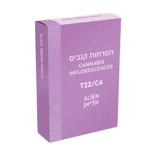 תפרחות אליאן T22/C4 אינדיקה תפרחות אליאן T22/C4 אינדיקה