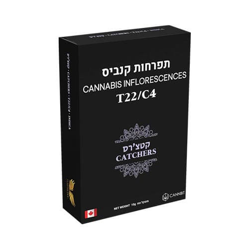 תפרחות קטצ'רס T22/C4 אינדיקה תפרחות קטצ'רס T22/C4 אינדיקה
