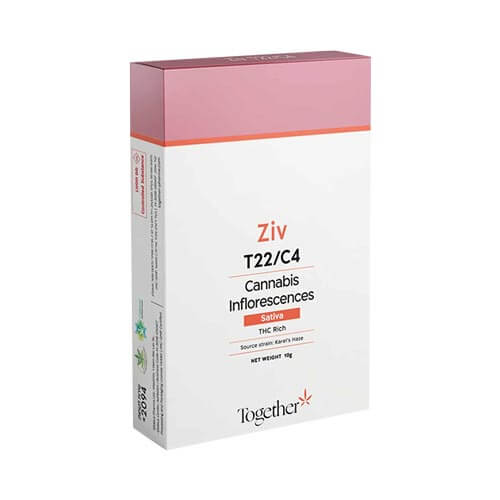 תפרחות זיו (Ziv) T20/C4 סאטיבה תפרחות זיו (Ziv) T20/C4 סאטיבה