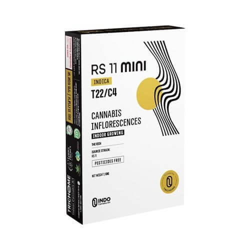 תפרחות סמול אר אס 11 T22/C4 אינדיקה תפרחות סמול אר אס 11 T22/C4 אינדיקה