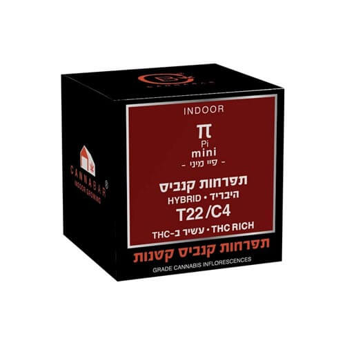 תפרחות סמול פיי T22/C4 היבריד תפרחות סמול פיי T22/C4 היבריד