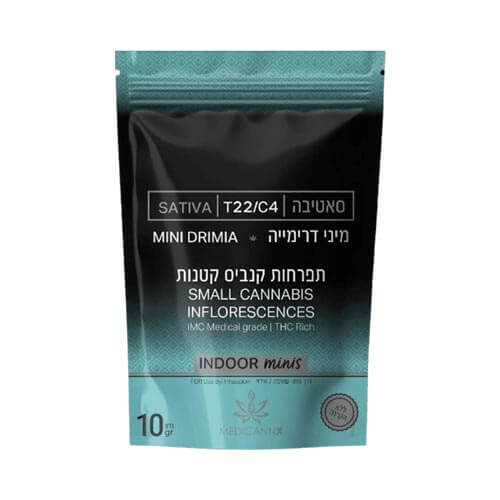 תפרחות דרימייה T22/C4 סאטיבה תפרחות דרימייה T22/C4 סאטיבה