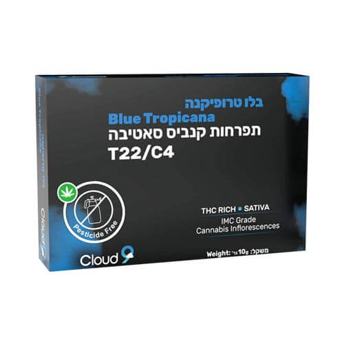 תפרחות בלו טרופיקנה T22/C4 סאטיבה תפרחות בלו טרופיקנה T22/C4 סאטיבה