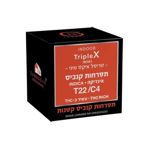 תפרחות טריפל איקס T22/C4 אינדיקה תפרחות טריפל איקס T22/C4 אינדיקה