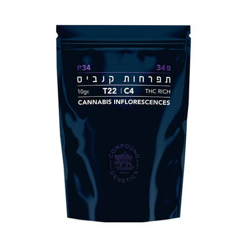 תפרחות פ 34 T22/C4 היבריד תפרחות פ 34 T22/C4 היבריד
