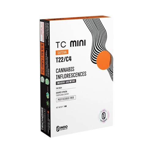 תפרחות סמול טי סי T22/C4 סאטיבה תפרחות סמול טי סי T22/C4 סאטיבה